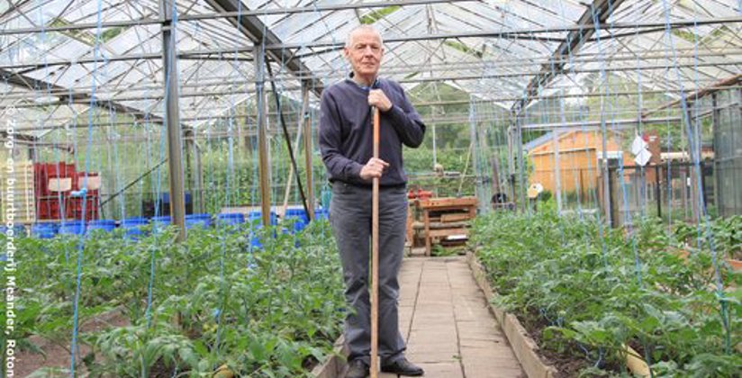 Man veegt het pad van een serre met een borstel