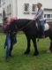 Veel mensen op wachtlijst: grote vraag naar paardentherapie - Gazet Van Antwerpen