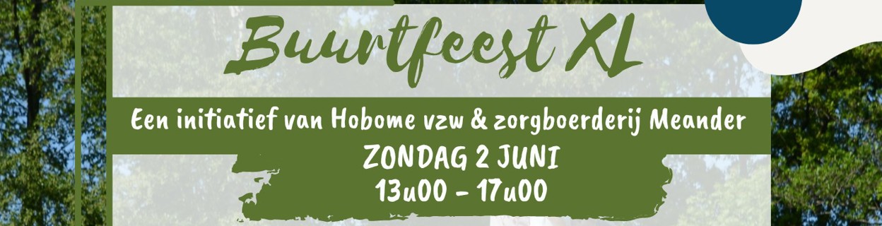 Flyer Buurtfeest Meander