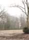 OLO plant een bos - Brasschaatse Film