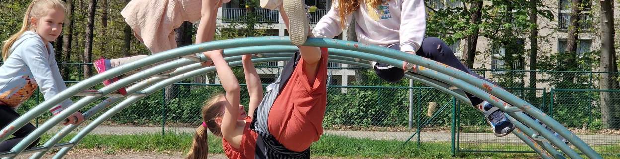 Jaarverslag Triolo (1)