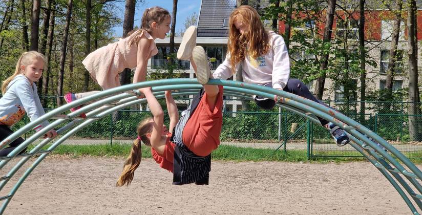 Jaarverslag Triolo (1)