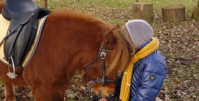 Persoon knuffelt met een paard
