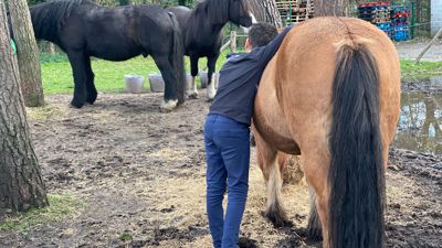 Artikelfoto: Matheo Met Paard