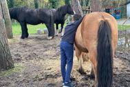 Thumbnail: Matheo Met Paard