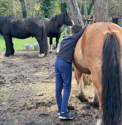 Matheo Met Paard