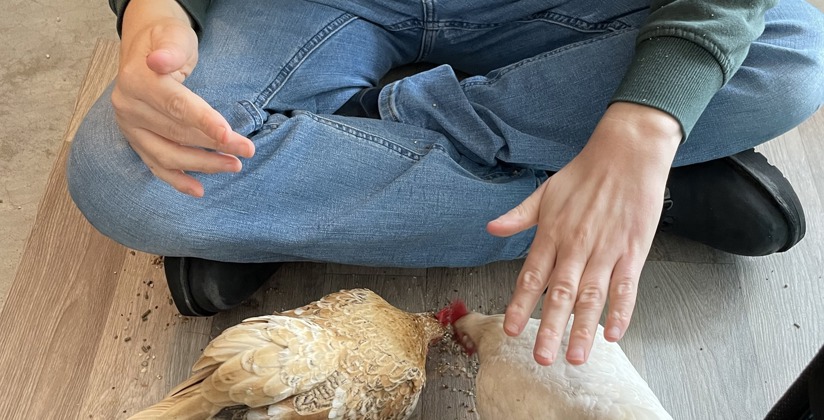 380473721 707521311414927 2640692431489095671 N