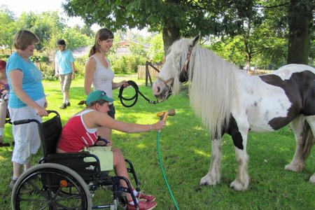 Vrouw in rolstoel helpt bij wassen van een paard