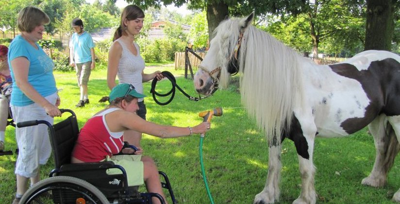 Vrouw in rolstoel helpt bij wassen van een paard