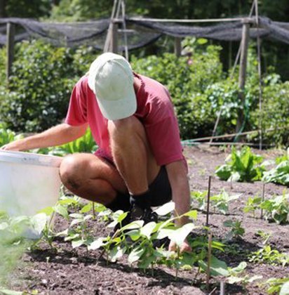 Man werkt in moesttuin 