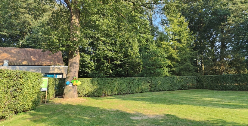 Brasschaatse Tutjesboom 20240918 (3)