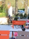 Inclusief eethuis Pure Pauze - Brasschaatse Film