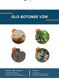 Flyer OLO Rotonde Algemeen