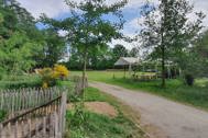 Thumbnail: Weg tussen het groen van de zorgboerderij
