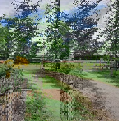 Weg tussen het groen van de zorgboerderij