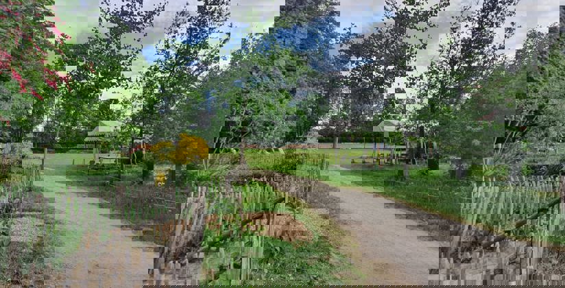 Weg tussen het groen van de zorgboerderij