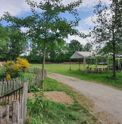 Weg tussen het groen van de zorgboerderij