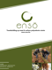 Enso - Teambuilding