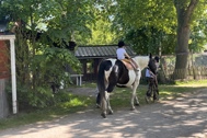 Thumbnail: Jong kindje op een paard dat wordt vastgehouden door een begeleider