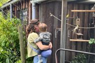 Thumbnail: IMG 20240603 WA0022