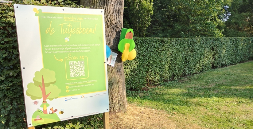 Brasschaatse Tutjesboom 20240918