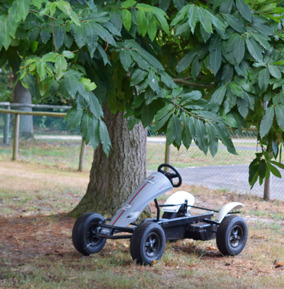 Go-cart onder een boom 